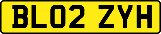 BL02ZYH