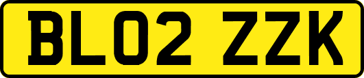 BL02ZZK