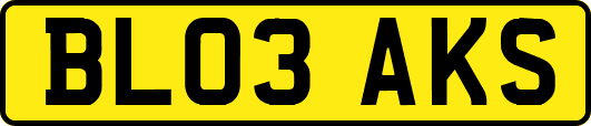 BL03AKS