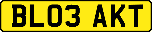 BL03AKT