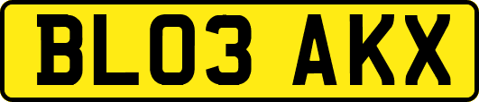 BL03AKX