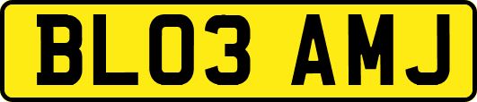 BL03AMJ