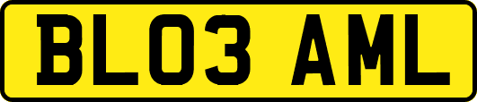 BL03AML