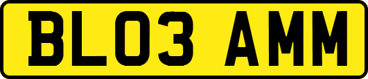 BL03AMM