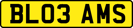 BL03AMS