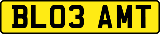 BL03AMT