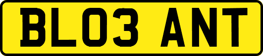 BL03ANT
