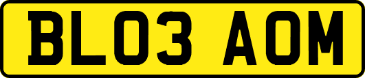 BL03AOM