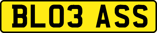 BL03ASS