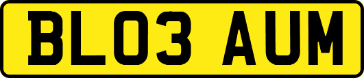 BL03AUM