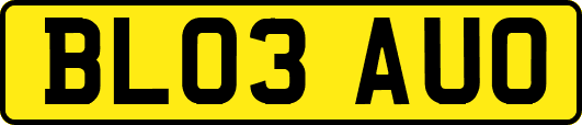 BL03AUO