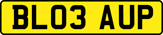 BL03AUP
