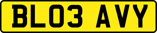 BL03AVY