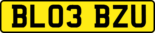 BL03BZU