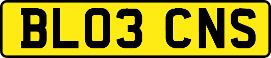 BL03CNS