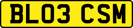 BL03CSM