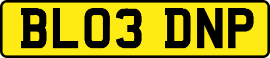 BL03DNP