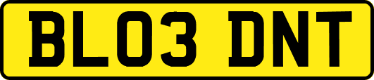 BL03DNT