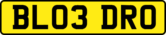 BL03DRO