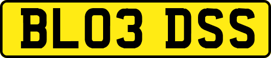 BL03DSS