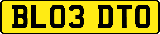 BL03DTO
