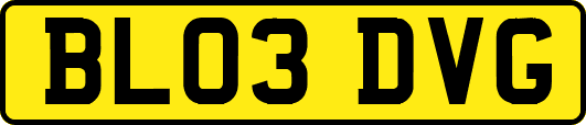 BL03DVG