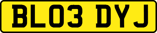 BL03DYJ