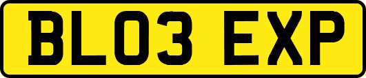 BL03EXP