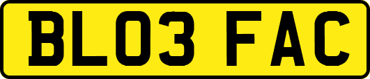 BL03FAC