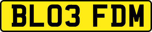 BL03FDM