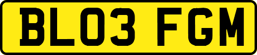 BL03FGM