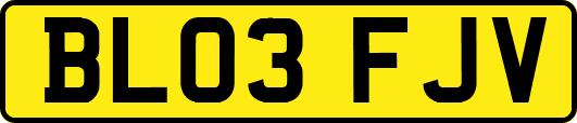 BL03FJV