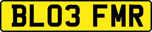BL03FMR
