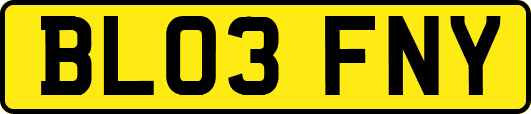 BL03FNY