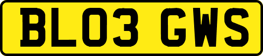 BL03GWS