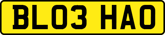 BL03HAO