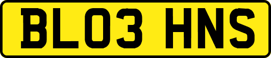 BL03HNS