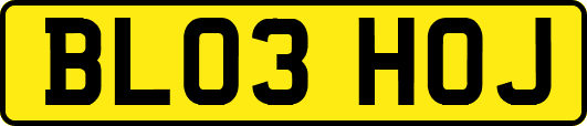 BL03HOJ