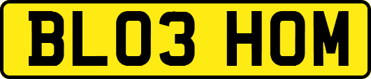 BL03HOM