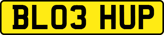 BL03HUP