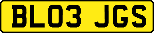BL03JGS