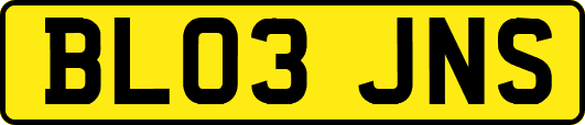BL03JNS