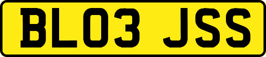 BL03JSS