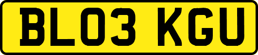 BL03KGU