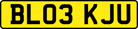 BL03KJU