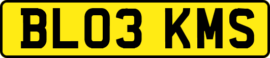 BL03KMS