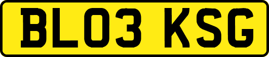 BL03KSG