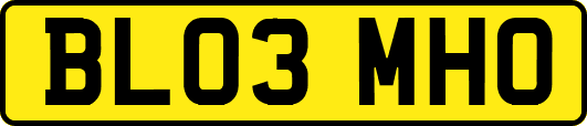 BL03MHO
