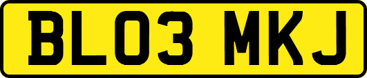 BL03MKJ