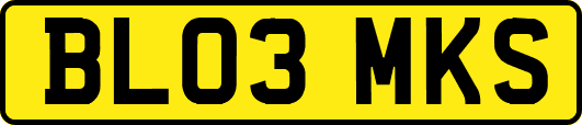 BL03MKS